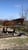 Horse ad