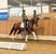 Annonce cheval