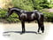 Annuncio cavallo