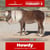 Horse ad