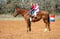 Horse ad