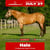 Horse ad