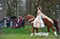 Horse ad