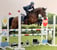 Horse ad
