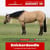 Anuncio de caballos