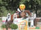Horse ad