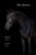 Horse ad