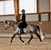 Horse ad