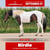 Annonce cheval