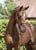 Annonce cheval