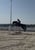 Horse ad