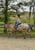 Horse ad