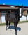 Horse ad