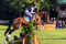 Horse ad