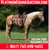 Horse ad