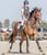 Annuncio cavallo