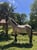 Horse ad