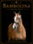 Annuncio cavallo