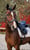 Annuncio cavallo