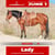 Paardadvertentie