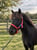 Horse ad