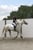 Annuncio cavallo