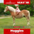 Annuncio cavallo