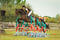 Annonce cheval