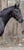 Pferdeinserat