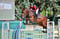 Horse ad
