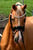 Annuncio cavallo