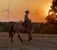 Annuncio cavallo