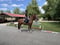 Annonce cheval