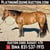 Annuncio cavallo