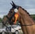 Annuncio cavallo