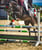 Annuncio cavallo
