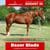 Paardadvertentie