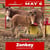 Horse ad