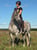 Annuncio cavallo