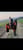 Annonce cheval