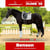Paardadvertentie