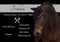 Annuncio cavallo