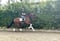 Annuncio cavallo