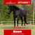 Paardadvertentie