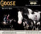 Horse ad