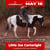 Horse ad