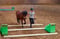 Horse ad