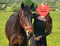 Anuncio de caballos