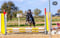Annuncio cavallo
