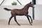Annuncio cavallo